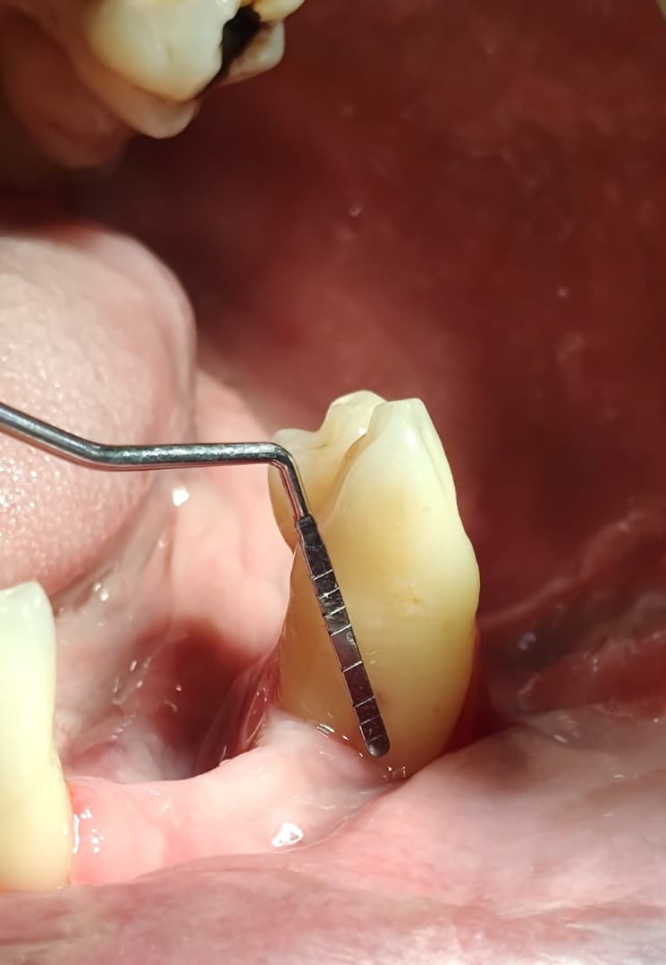 Odontología General